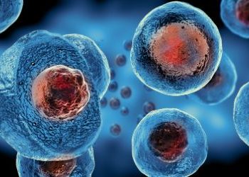 Spinal Cord Cancer